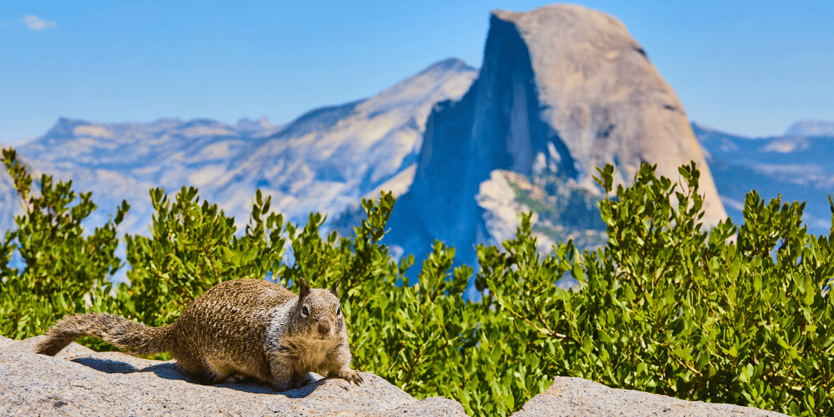 Yosemite National Park Reopens for “Firefall” After Rare Winter Closure