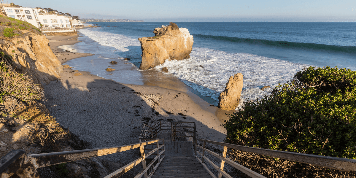 California’s Spring Momentum: Communities, Coastlines, and Culture Blossoming Across the State