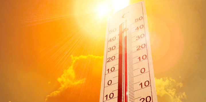 Heat Emergency Declared as SF Hits 103°F