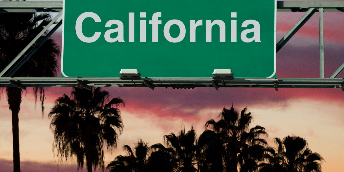 California’s Late-Winter Spotlight: Festivals, Arts, Sports, and Community Trends Shaping the State