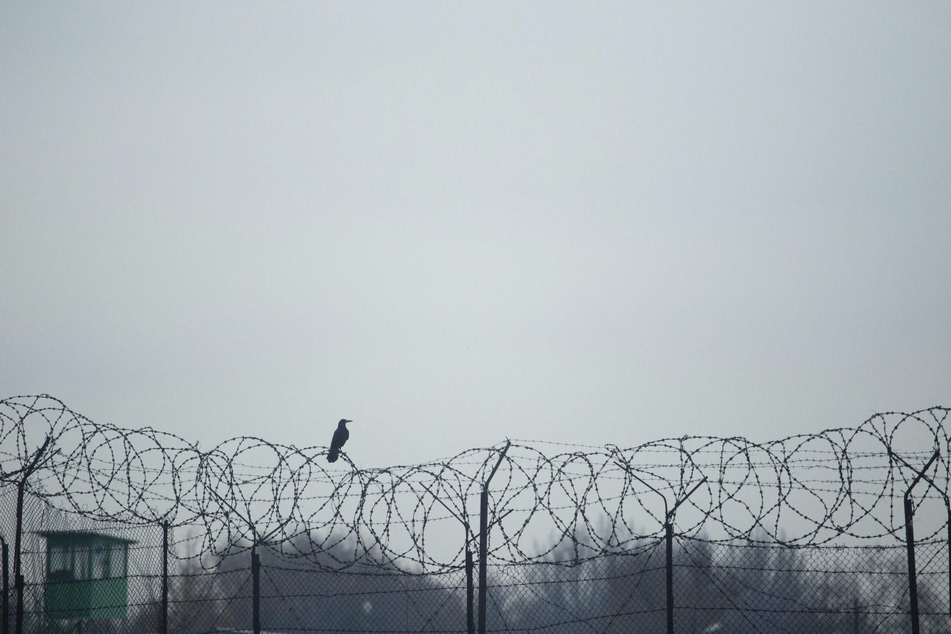 Historic U.S.-Russia Prisoner Swap Signals New Diplomatic Possibilities