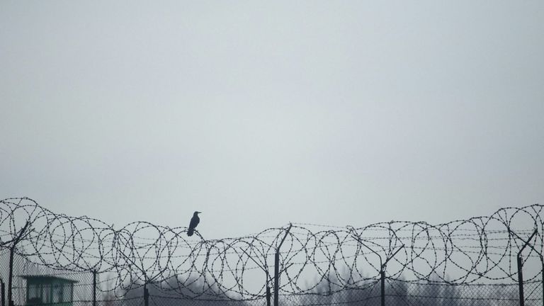 Historic U.S.-Russia Prisoner Swap Signals New Diplomatic Possibilities