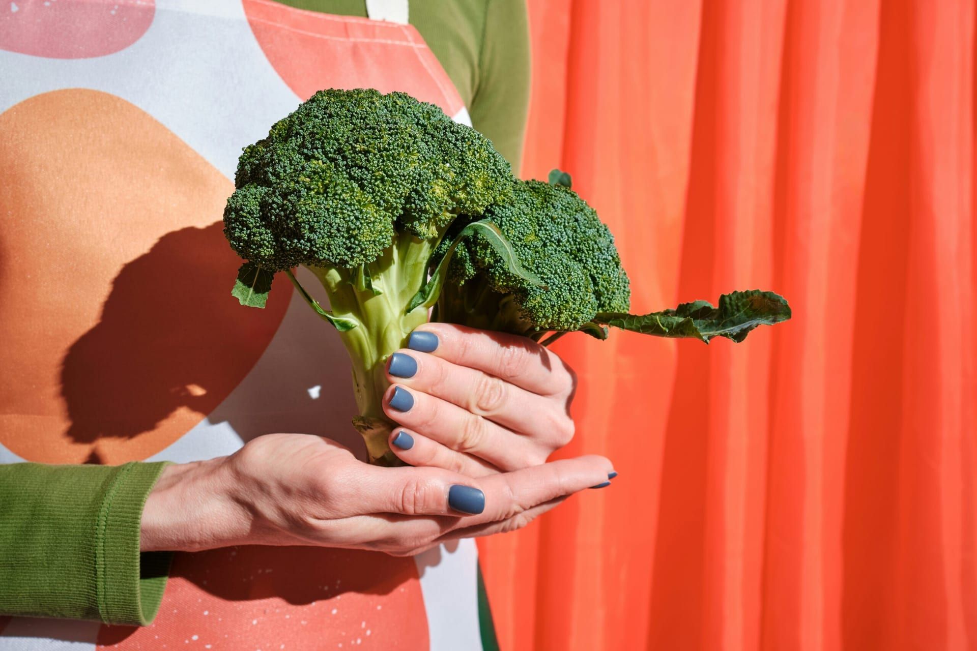 The 2025 Los Angeles Vegan Food Festival: A Plant-Based Revolution Takes Over the City