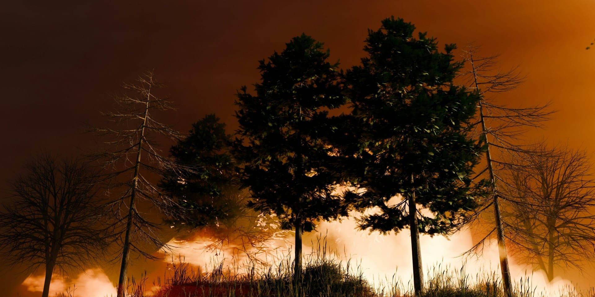 Wildfire Erupts in Los Angeles County, Prompting Emergency Response