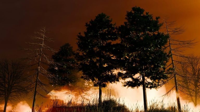Wildfire Erupts in Los Angeles County, Prompting Emergency Response