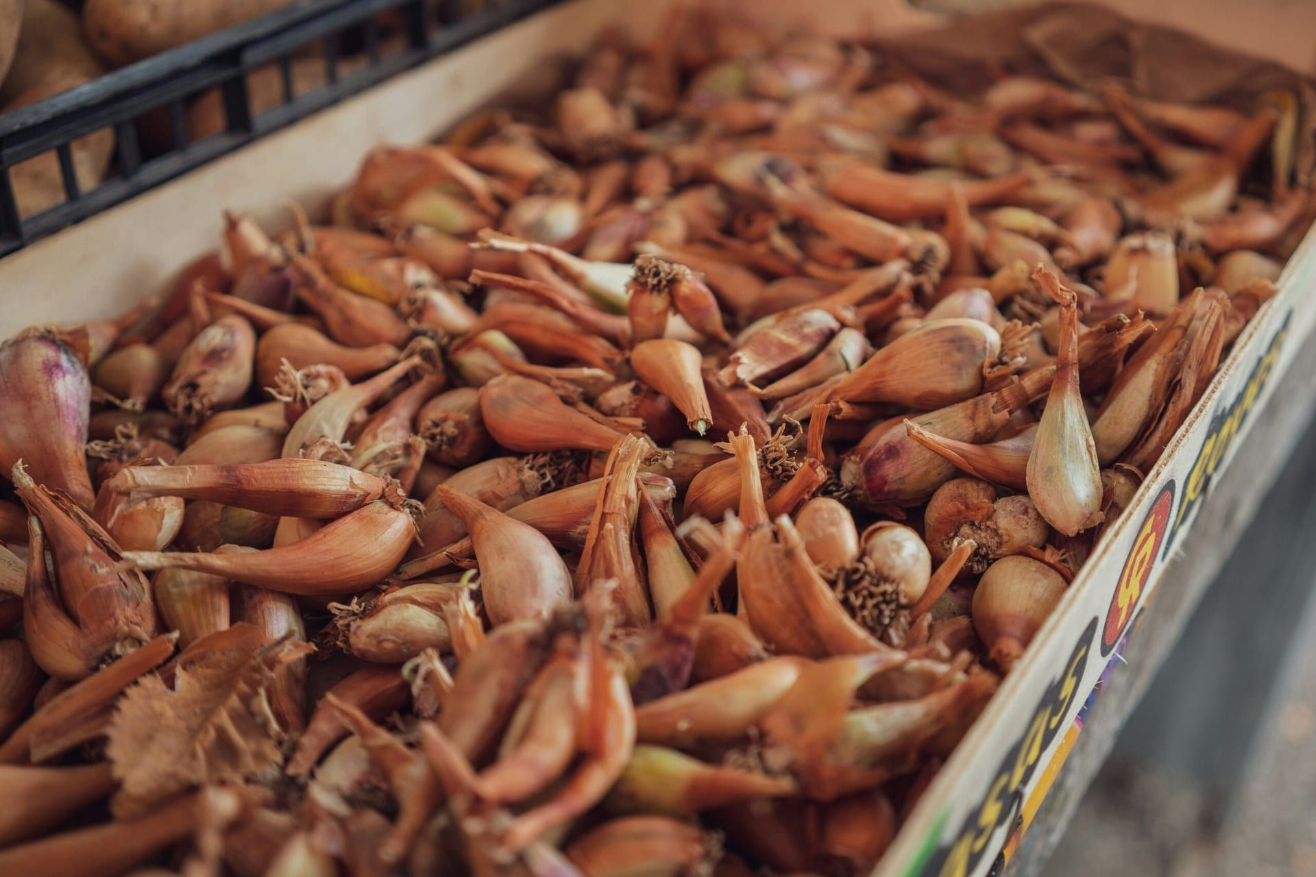 California’s Fermented Food Movement Gains Momentum