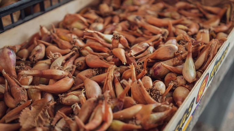 California’s Fermented Food Movement Gains Momentum