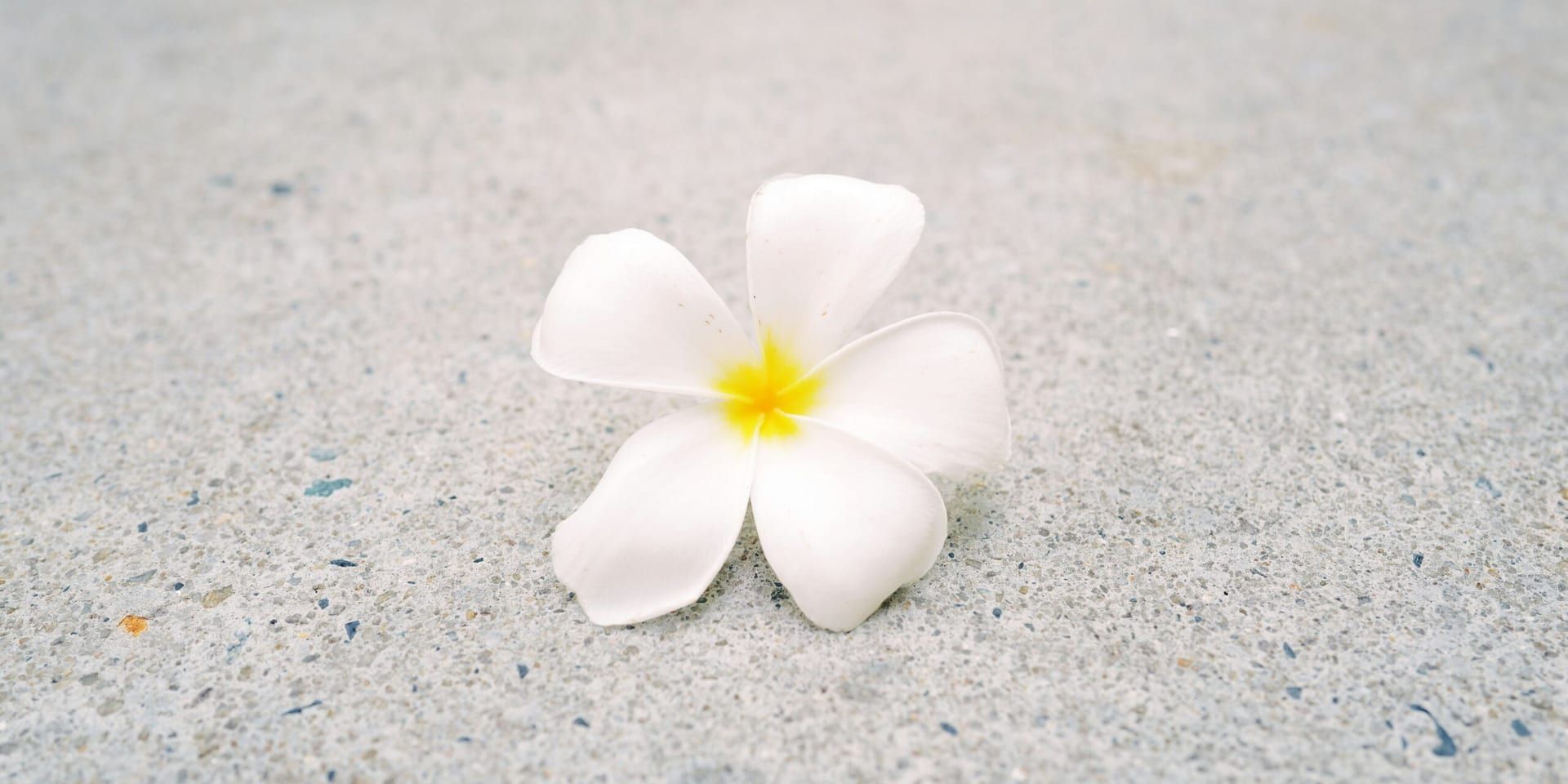 Embracing Simplicity: Why “National Simplicity Day” Still Matters