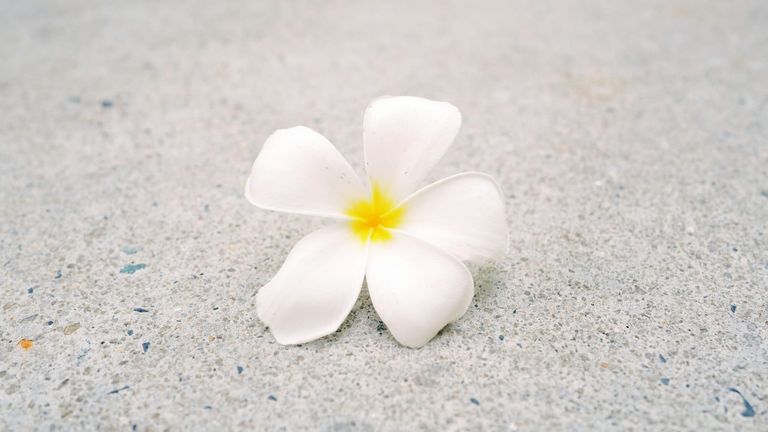 Embracing Simplicity: Why “National Simplicity Day” Still Matters