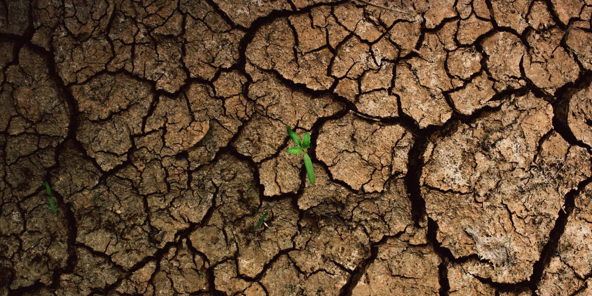 California Sees Significant Relief from Drought in 2025, But Challenges Remain