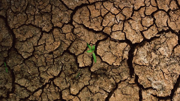 California Sees Significant Relief from Drought in 2025, But Challenges Remain