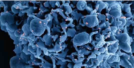Cancer cell