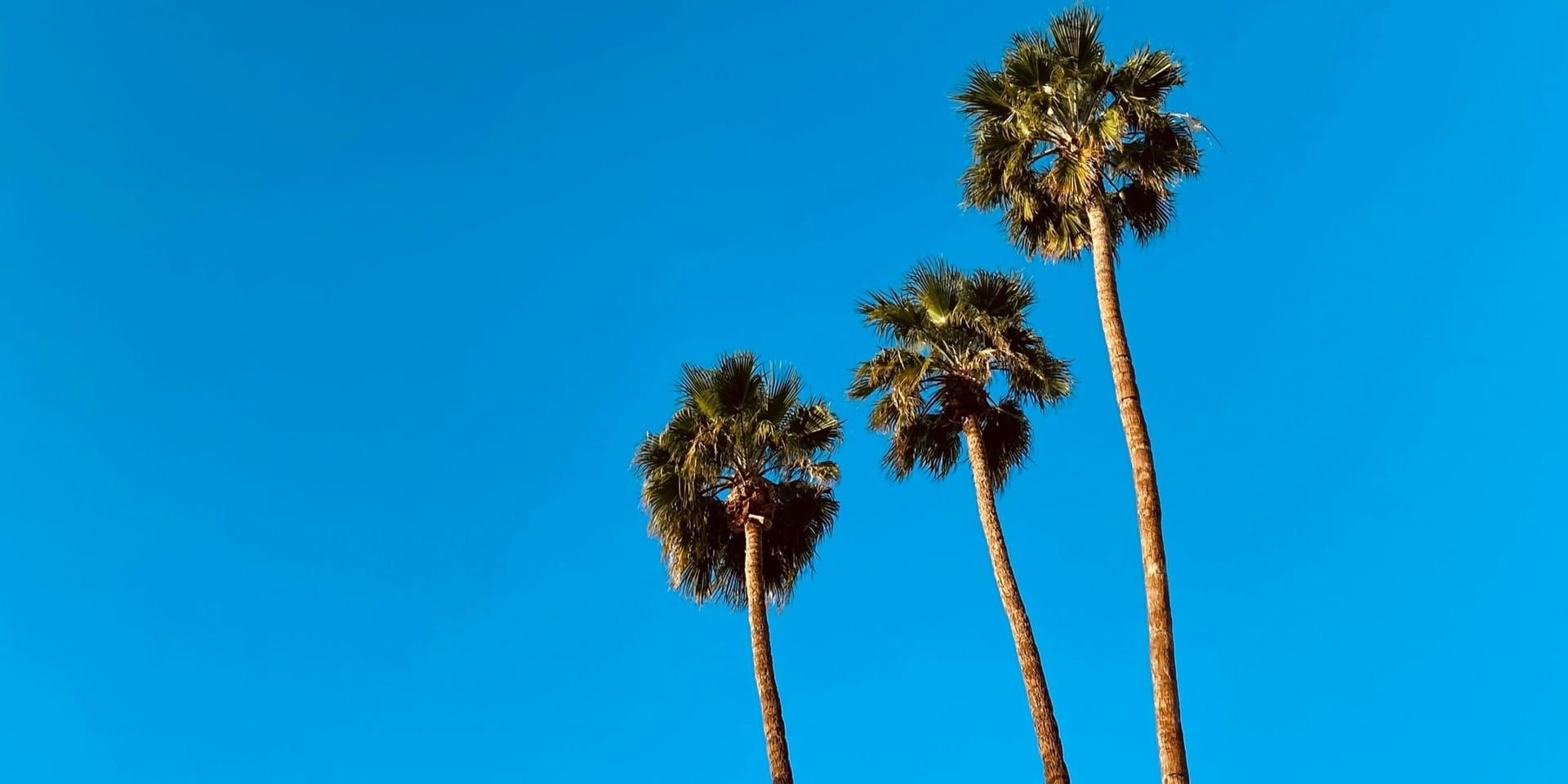 Caroline ross n1 uhmjcre8 unsplash