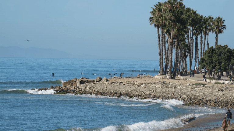 San Francisco and California See Spring Surge in Travel, Culture, and Local Business Activity
