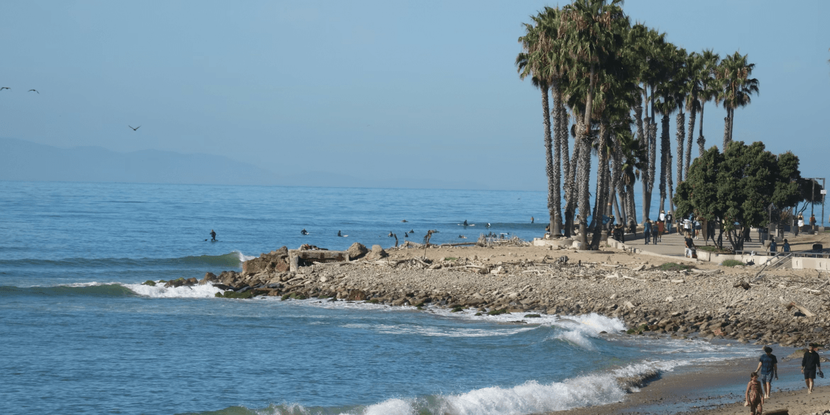San Francisco and California See Spring Surge in Travel, Culture, and Local Business Activity