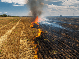 Field with contrasting areas of burning and blackened land beneath a blue sky