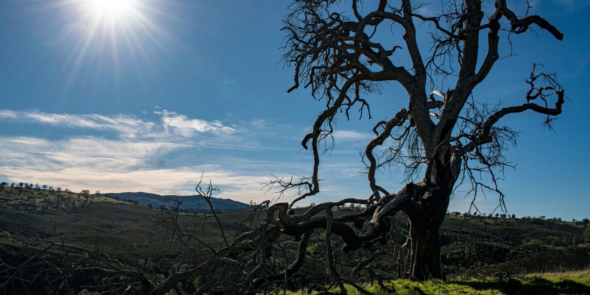 California Legislature Passes Comprehensive Climate Resilience Package