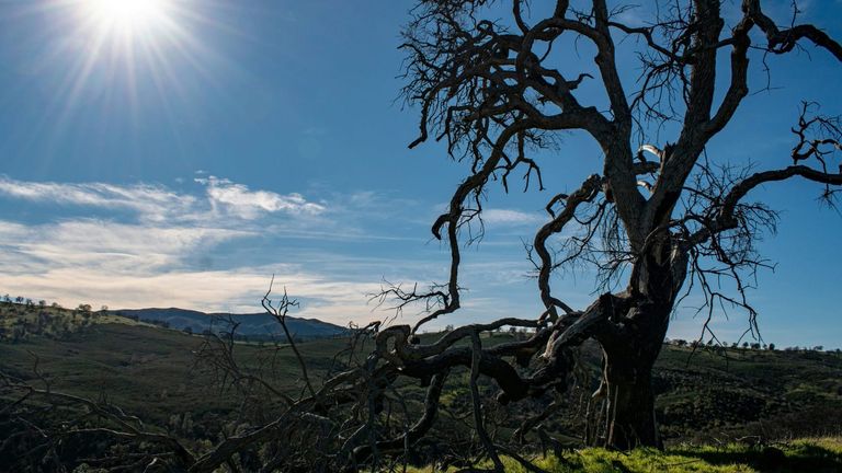 California Legislature Passes Comprehensive Climate Resilience Package