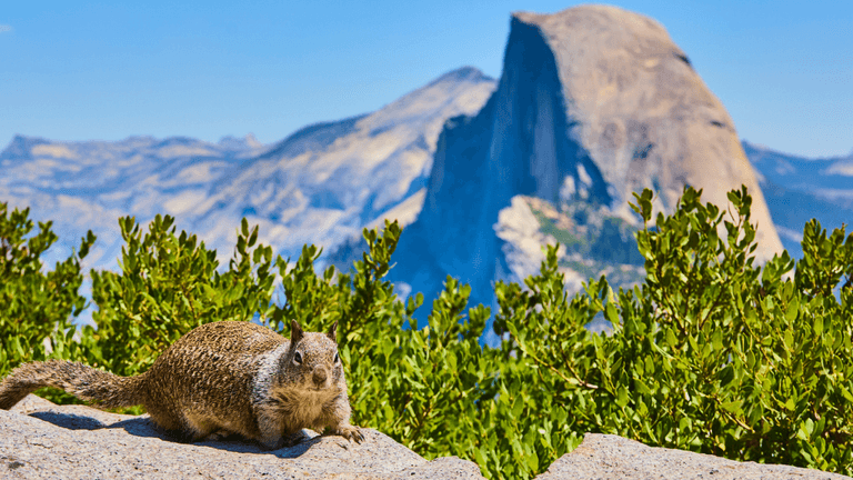 Yosemite National Park Reopens for “Firefall” After Rare Winter Closure