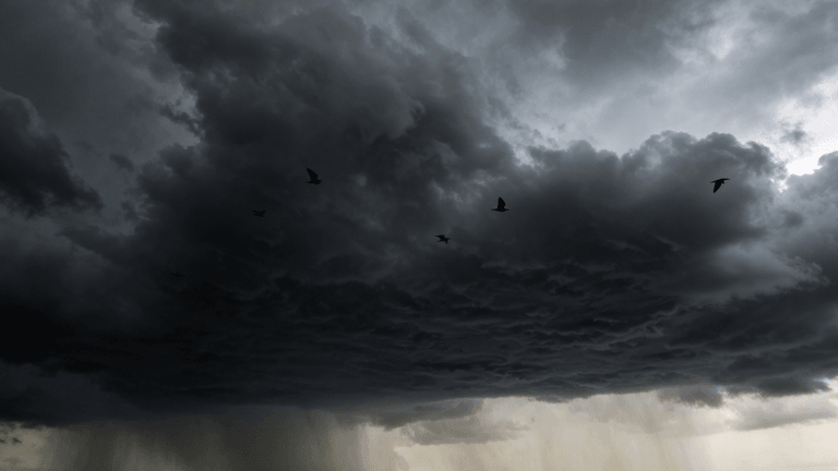Featured images 53 2
