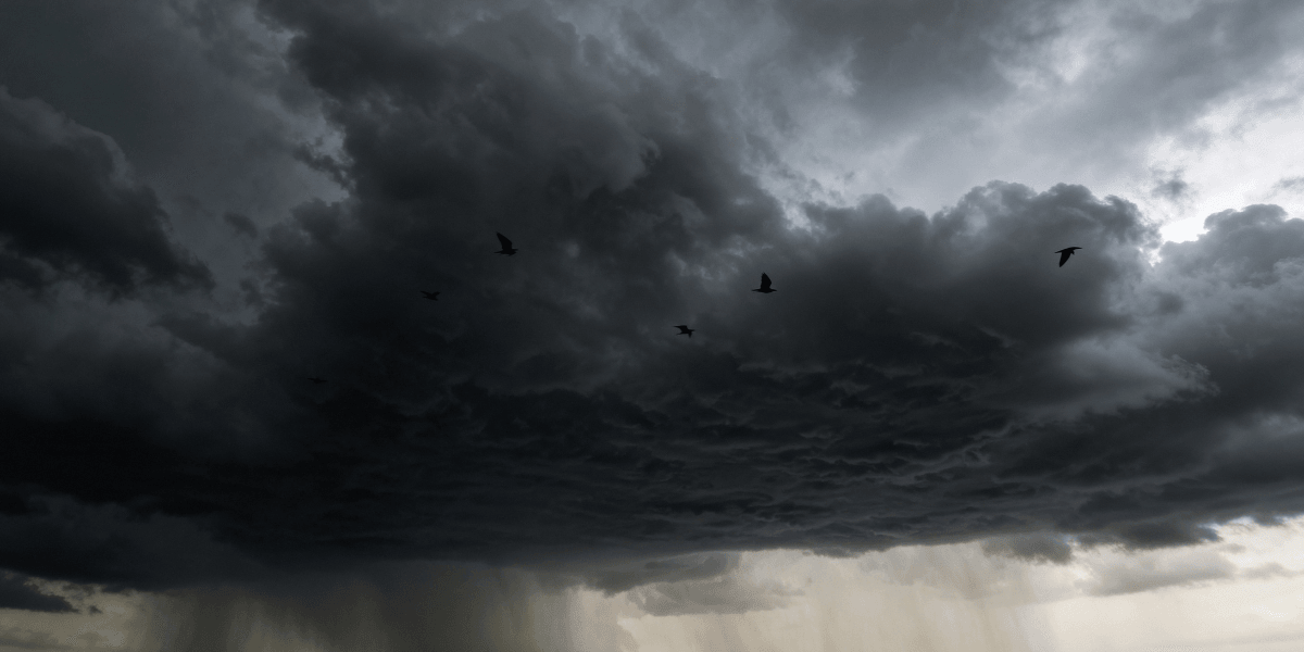 Featured images 53 2