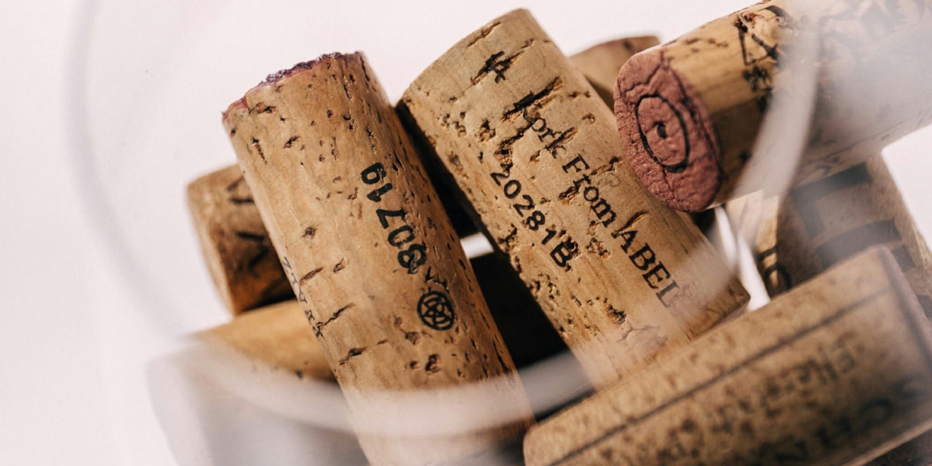Napa Valley Wine Harvest Preview: A Glimpse into the 2024 Vintage and the Future of Napa Wines