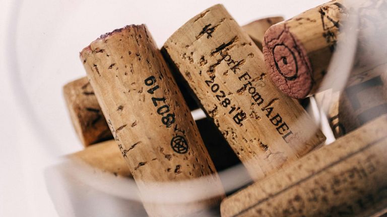 Napa Valley Wine Harvest Preview: A Glimpse into the 2024 Vintage and the Future of Napa Wines