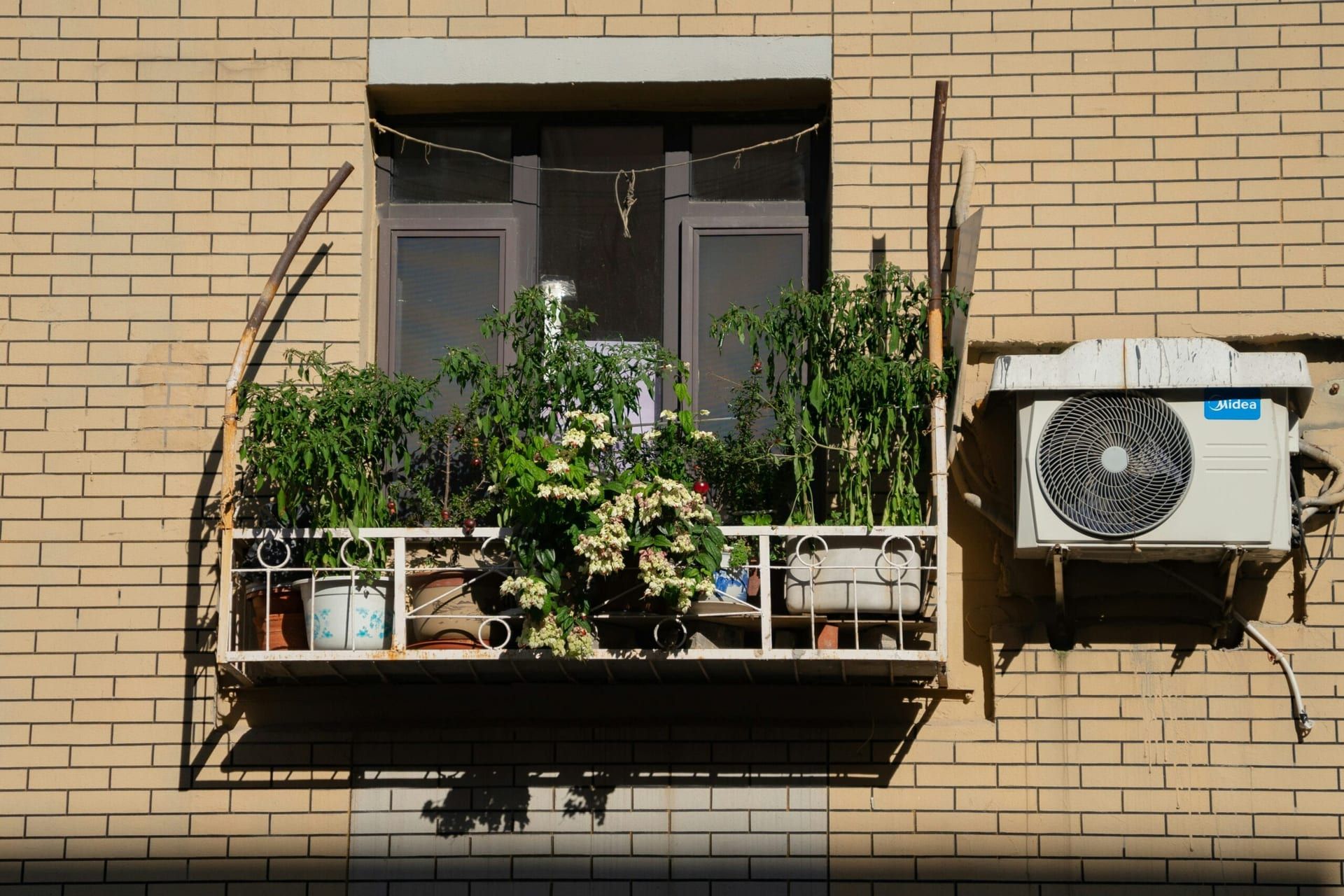 The New Wave of Urban Gardening: How City Dwellers Are Growing Their Own Food in Small Spaces