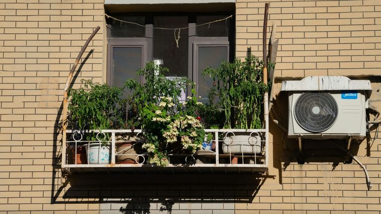 The New Wave of Urban Gardening: How City Dwellers Are Growing Their Own Food in Small Spaces
