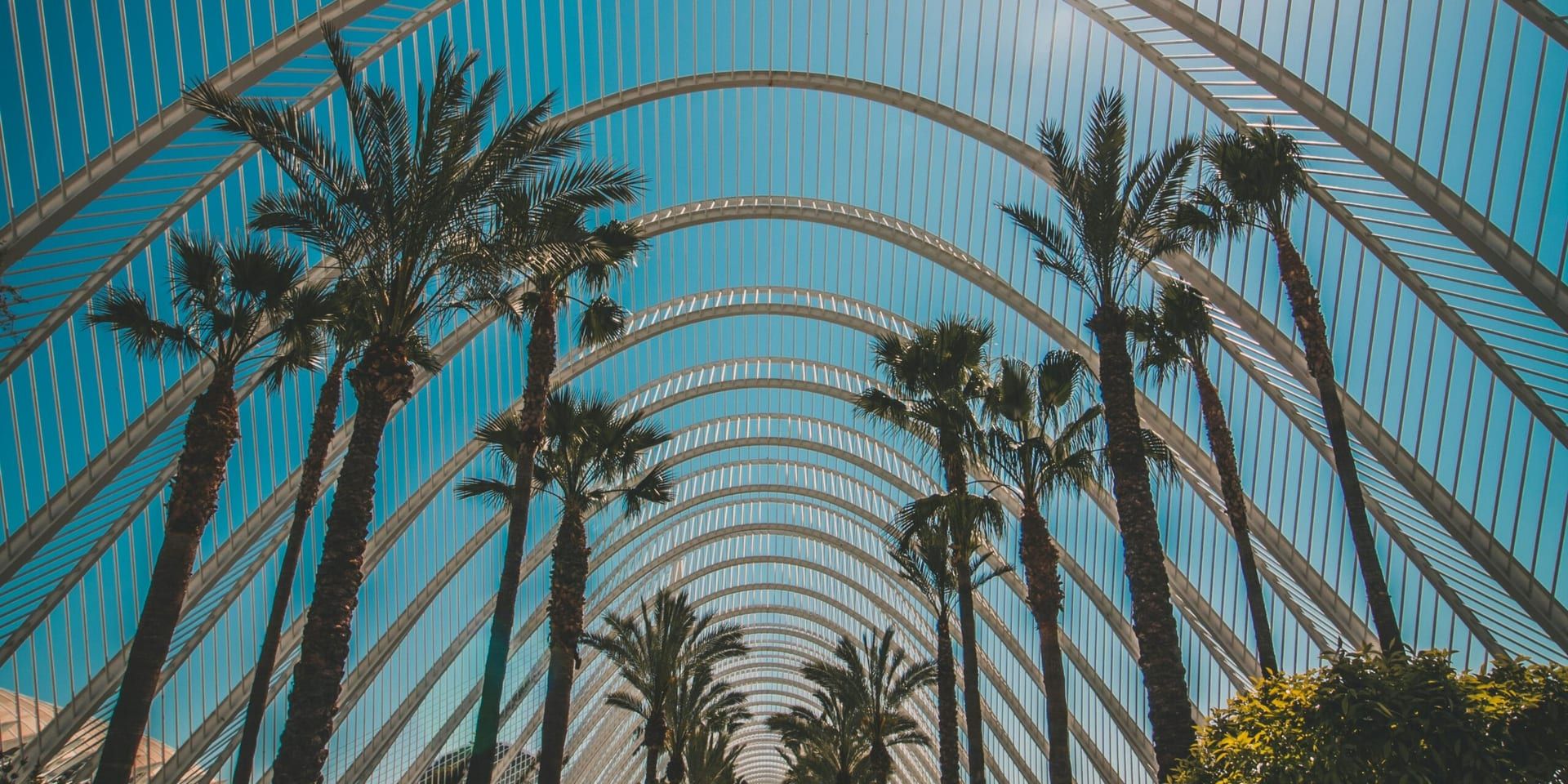 Franck charles r0m9mqlo5be unsplash