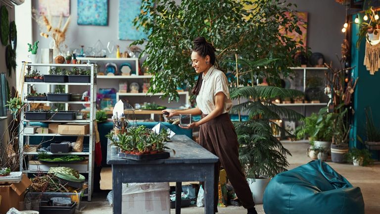 Exploring the Rise of Sustainable Living Practices in the U.S.
