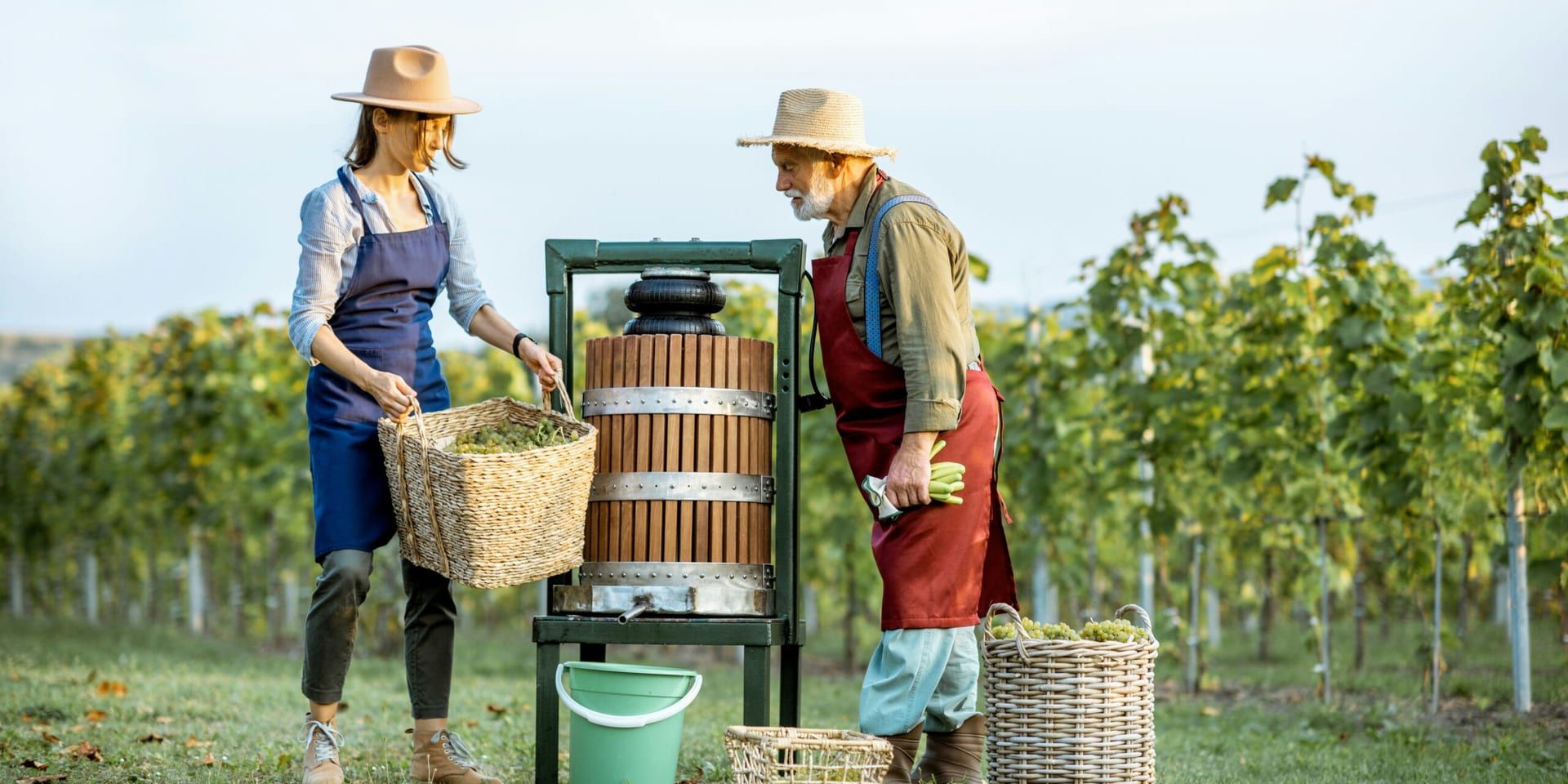 The 2025 Napa Valley Food and Wine Summit: A Showcase of Sustainability and Innovation in Winemaking