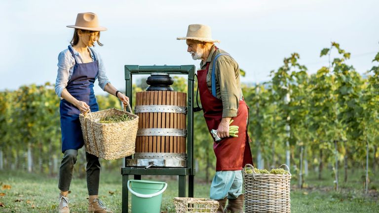 The 2025 Napa Valley Food and Wine Summit: A Showcase of Sustainability and Innovation in Winemaking
