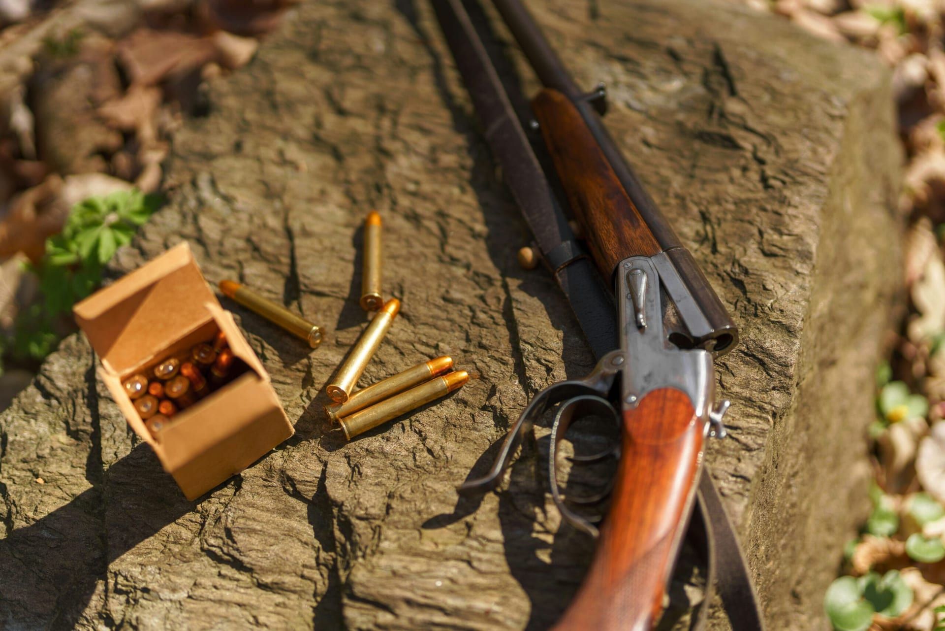 Legal Earthquakes: Hunter Biden’s Gun Conviction and Supreme Court’s Defining Decisions