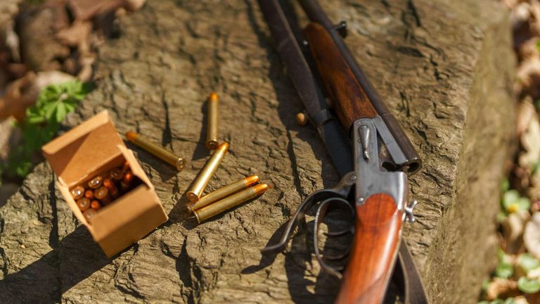 Legal Earthquakes: Hunter Biden’s Gun Conviction and Supreme Court’s Defining Decisions