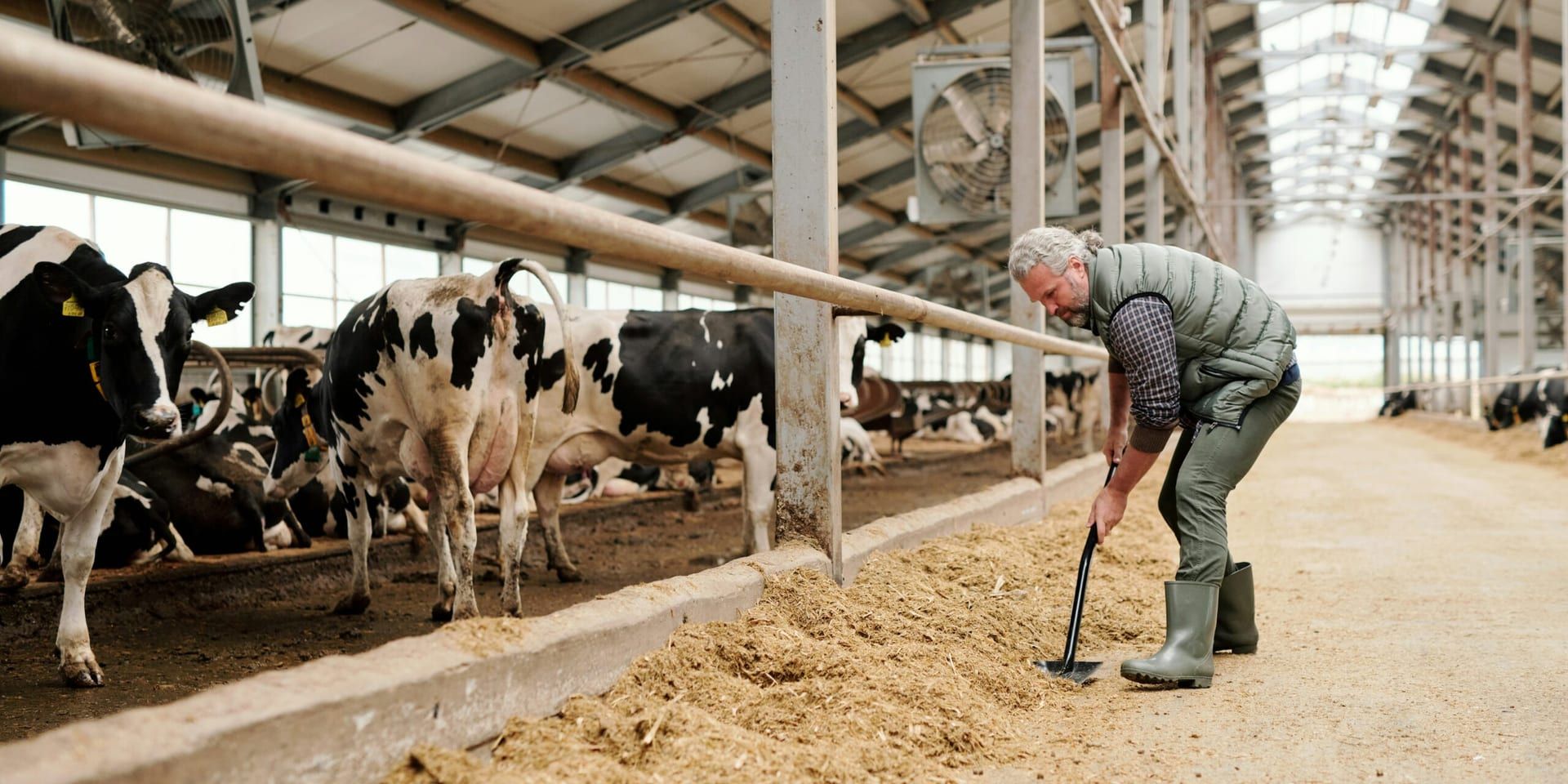 USDA Launches New Screwworm.gov Portal to Strengthen Livestock Threat Response