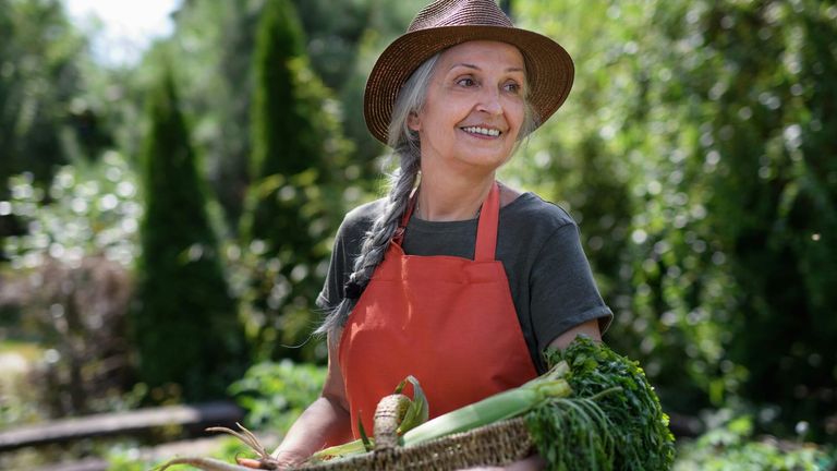 The Impact of California’s Vegan and Plant-Based Food Movement: A Culinary Revolution