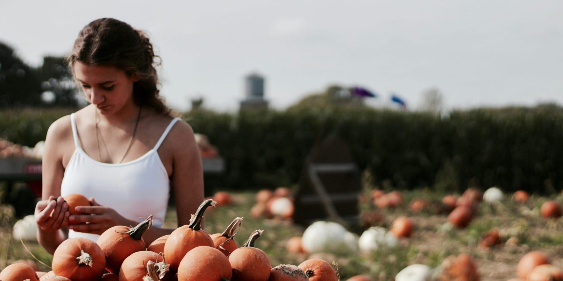 World Food Day Highlights U.S. Autumn Harvests and Local Food Connections