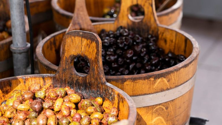 The 2025 Napa Valley Olive Oil and Artisan Foods Festival: A Taste of Tradition and Innovation