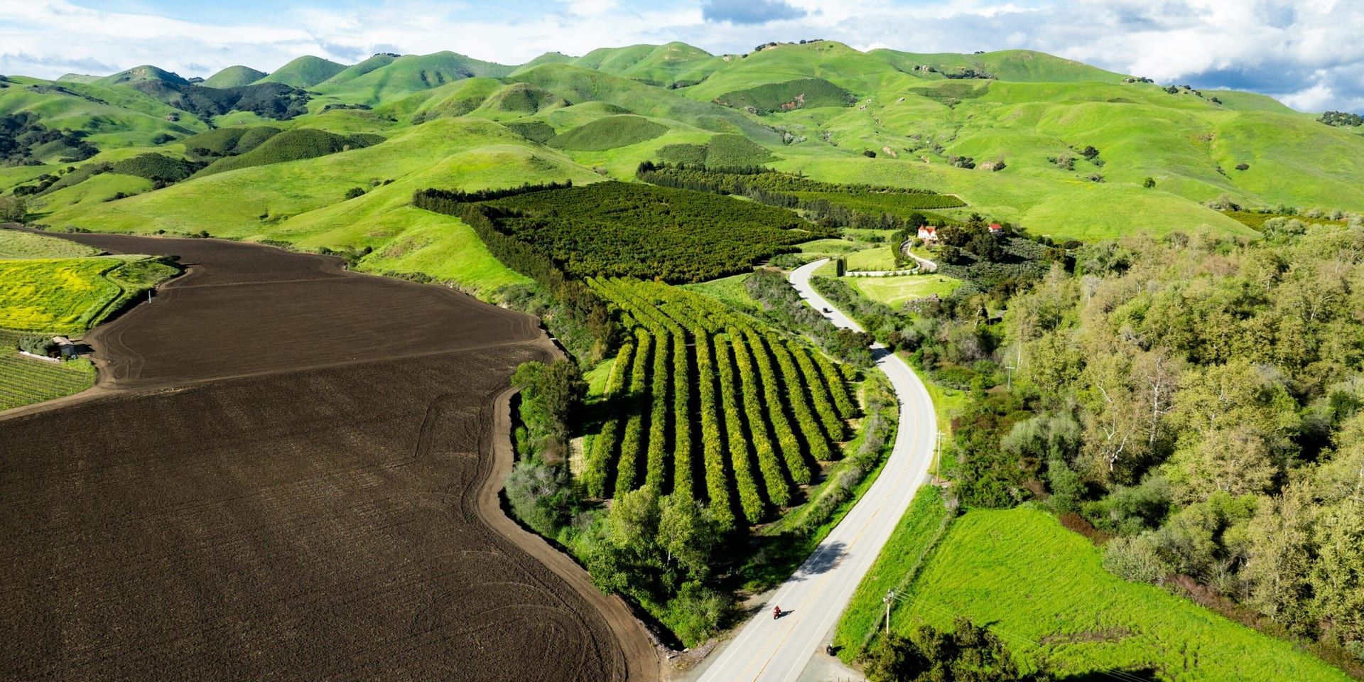 Exploring the Impact of California’s Sustainable Winegrowing Practices in 2024