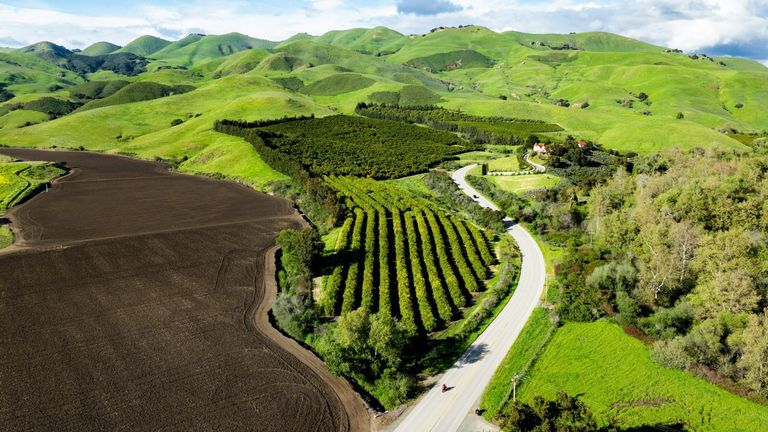 Exploring the Impact of California’s Sustainable Winegrowing Practices in 2024