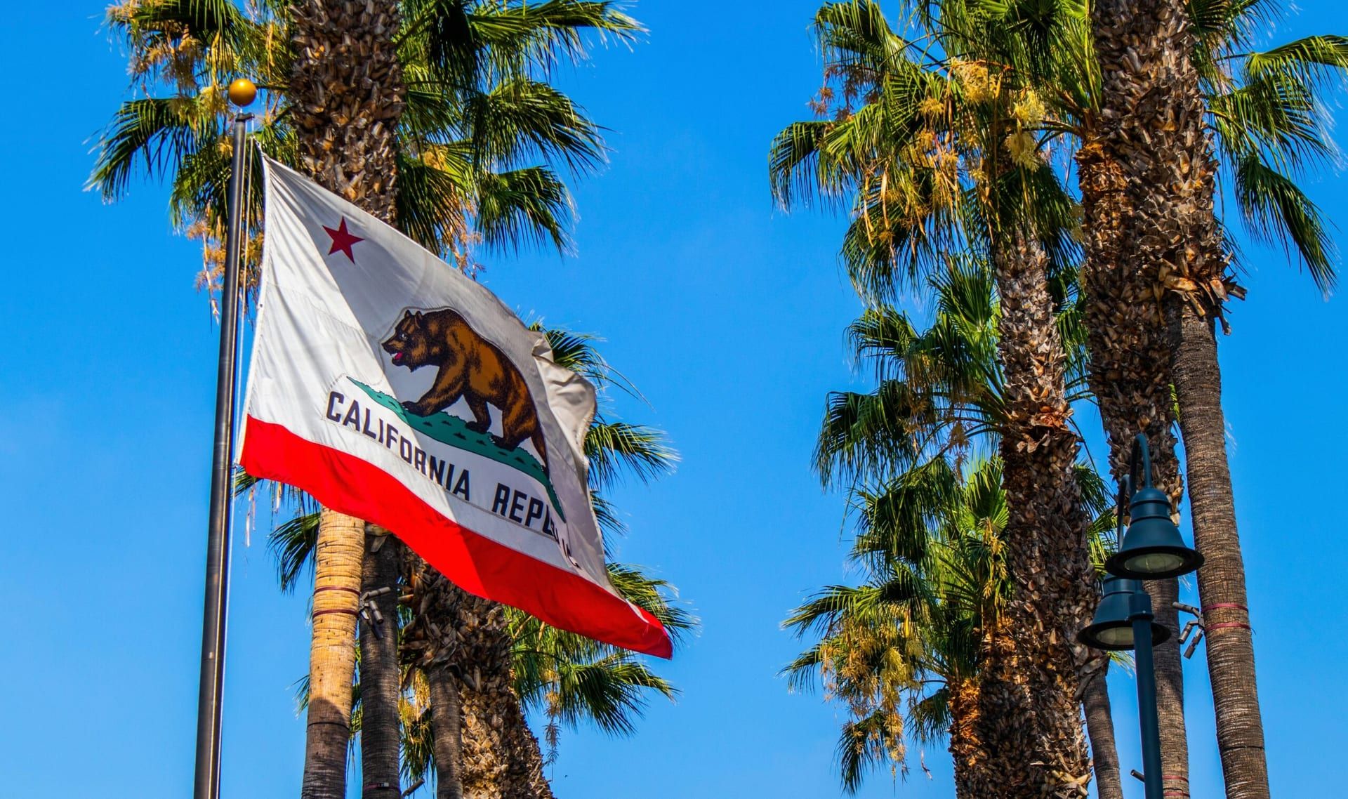 California Officially Ends COVID-19 State of Emergency