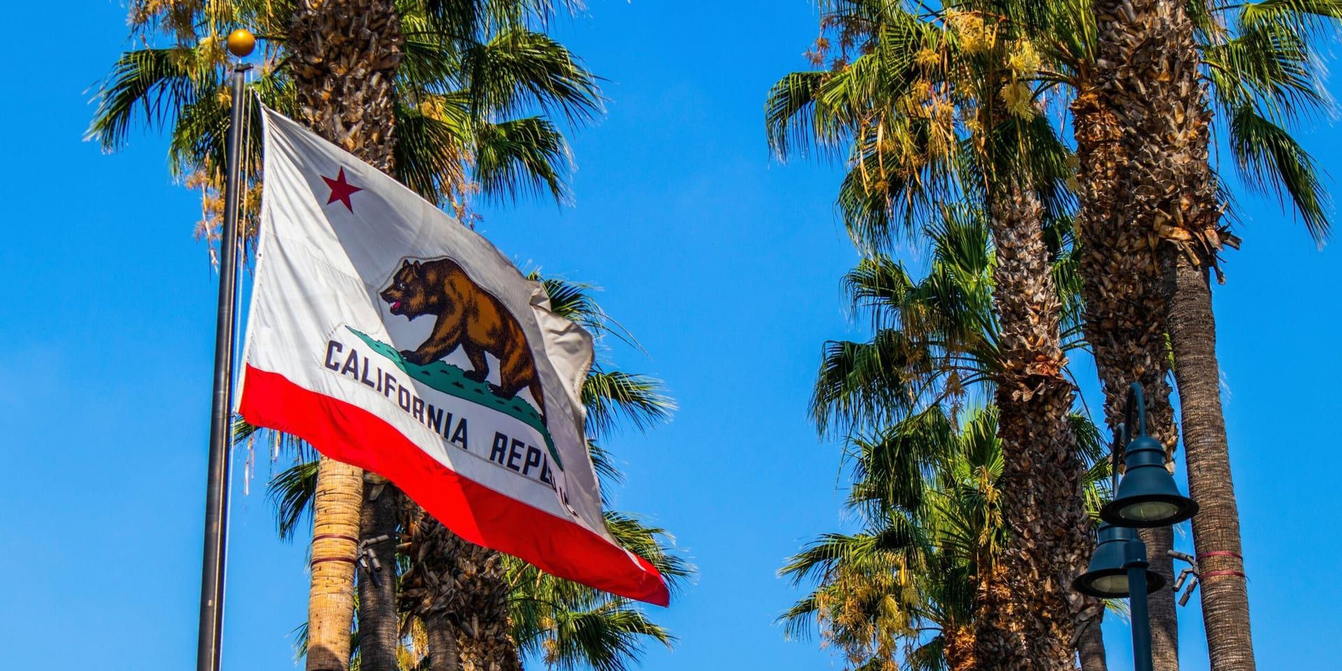 California Sees Surge in New Business Formations Amid Economic Recovery
