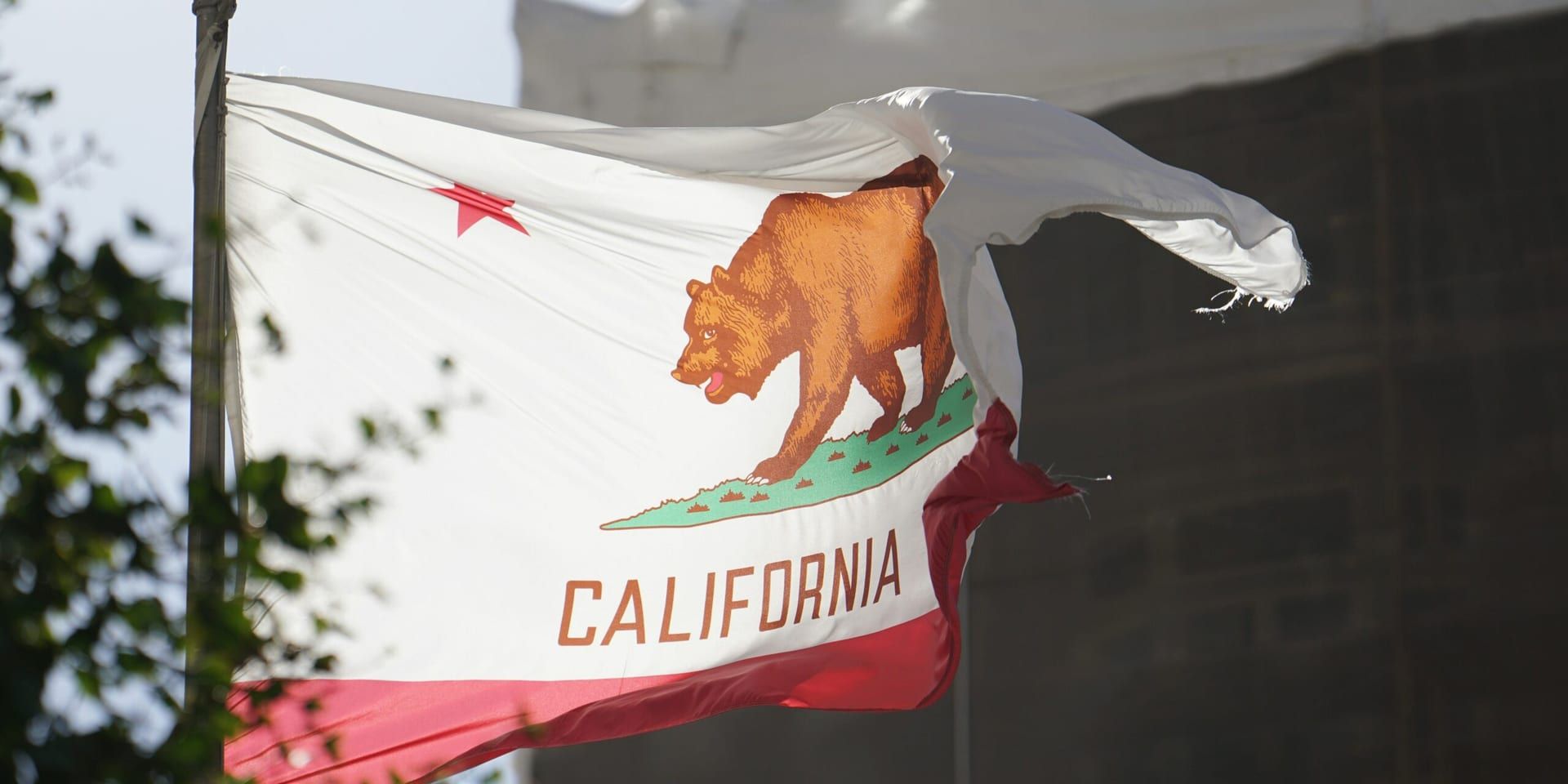 California Budget Boosts Borrowing to Avoid Social-Service Cuts