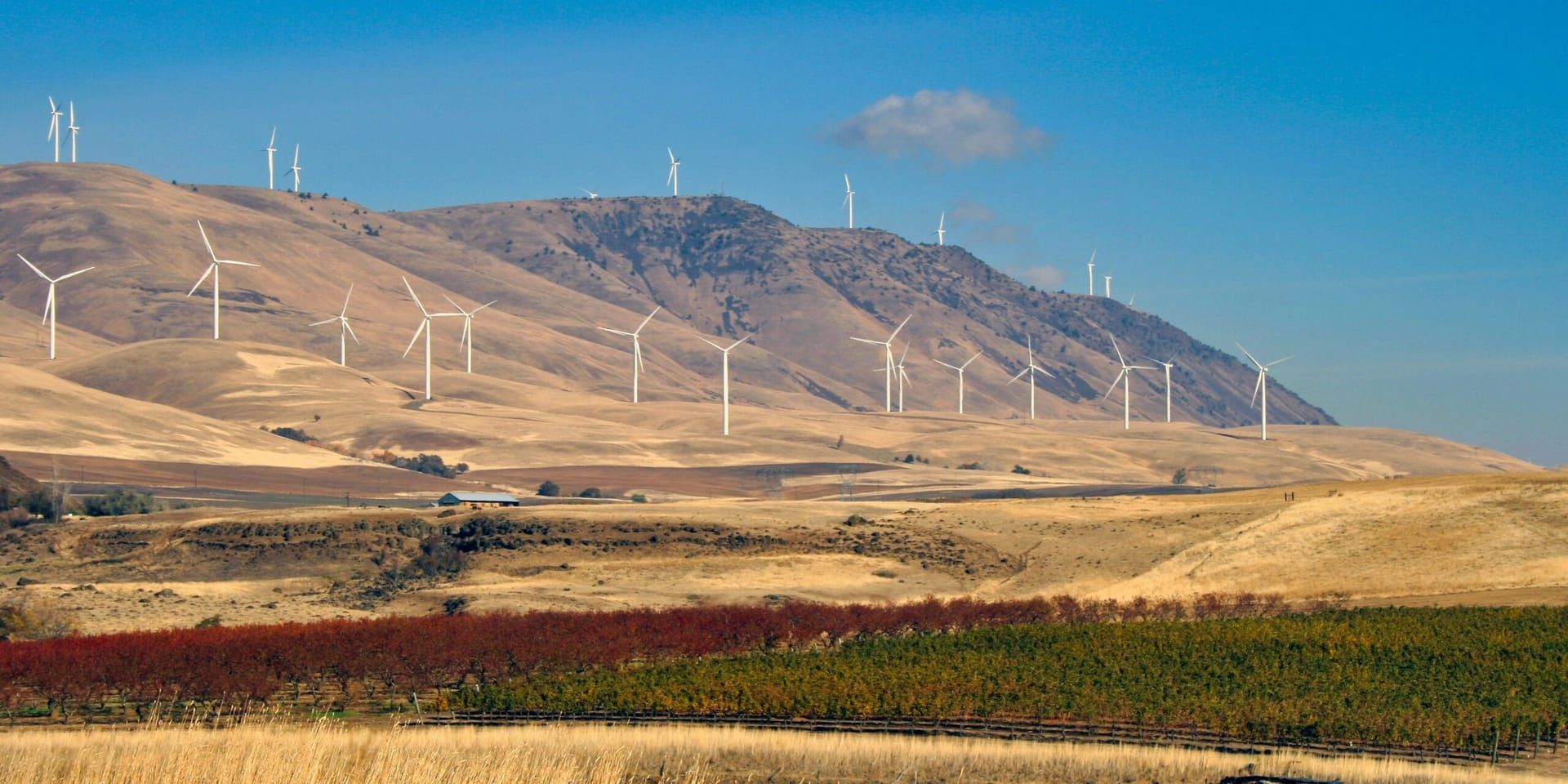 California Accelerates Renewable Energy Push with Landmark Projects and Policy Reforms