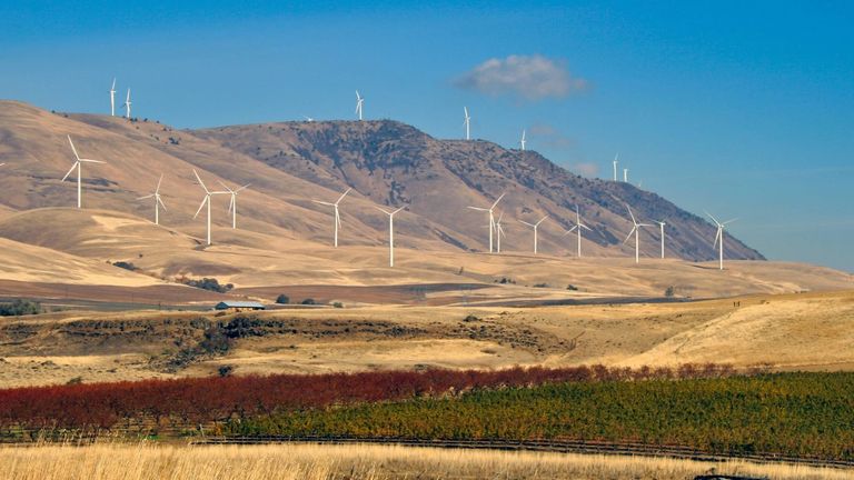 California Accelerates Renewable Energy Push with Landmark Projects and Policy Reforms