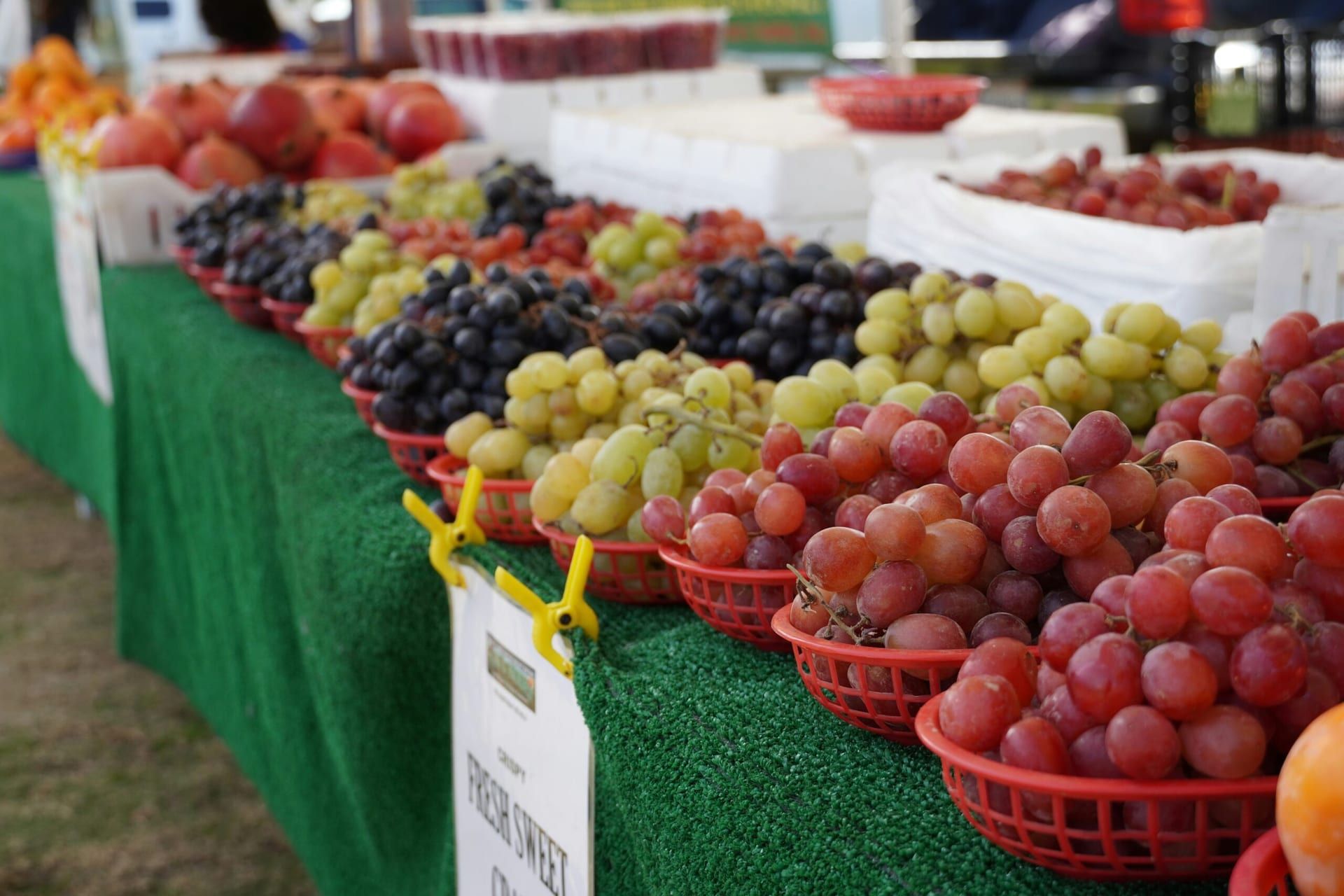 Napa Valley Harvest Festival 2022: Celebrating Wine, Food, and Sustainability
