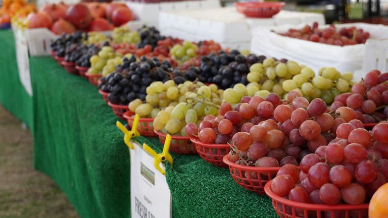 Napa Valley Harvest Festival 2022: Celebrating Wine, Food, and Sustainability