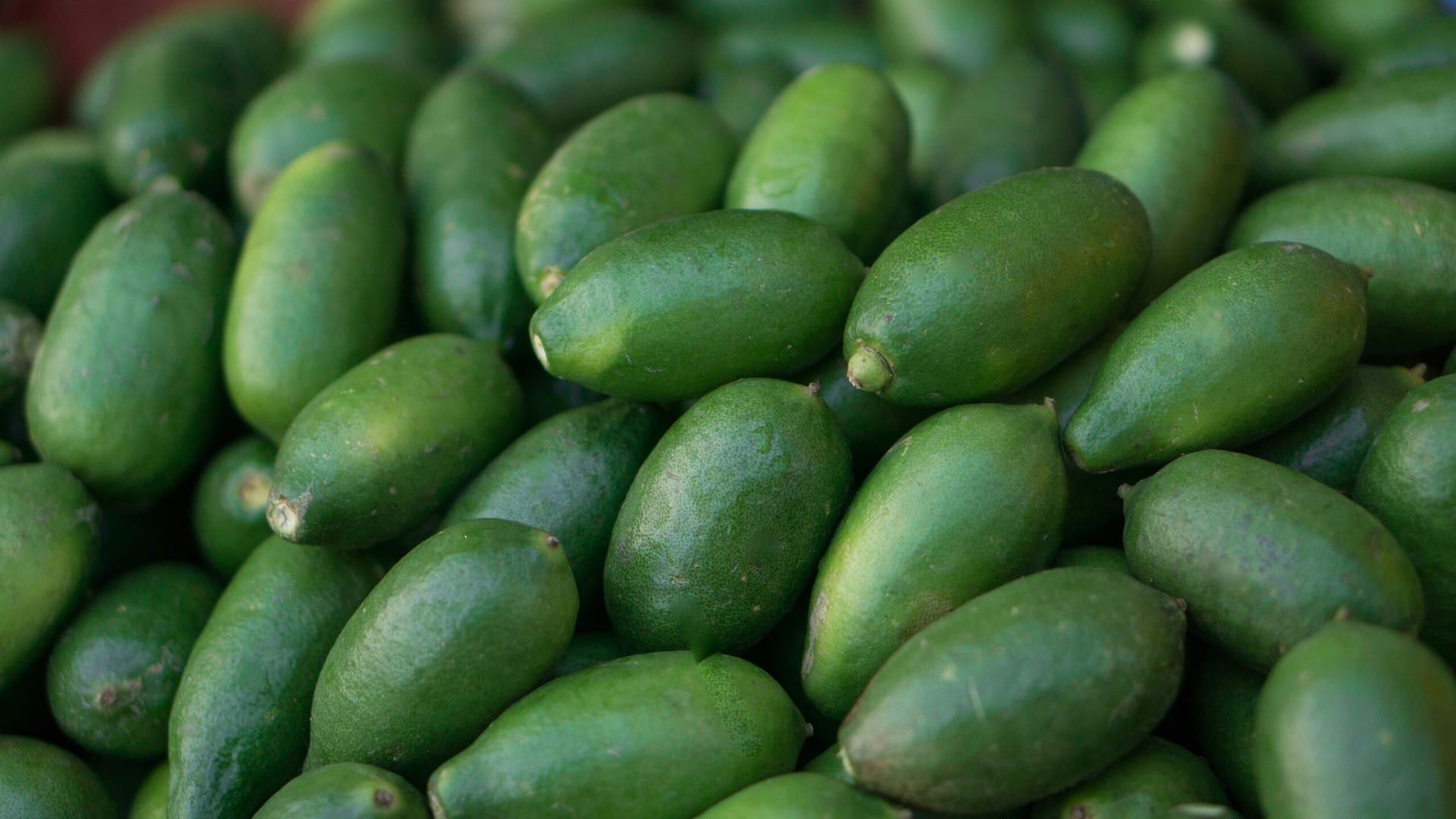 The California Avocado Festival Returns to Carpinteria, Celebrating Local Agriculture and Sustainability