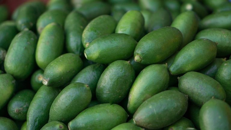 The California Avocado Festival Returns to Carpinteria, Celebrating Local Agriculture and Sustainability